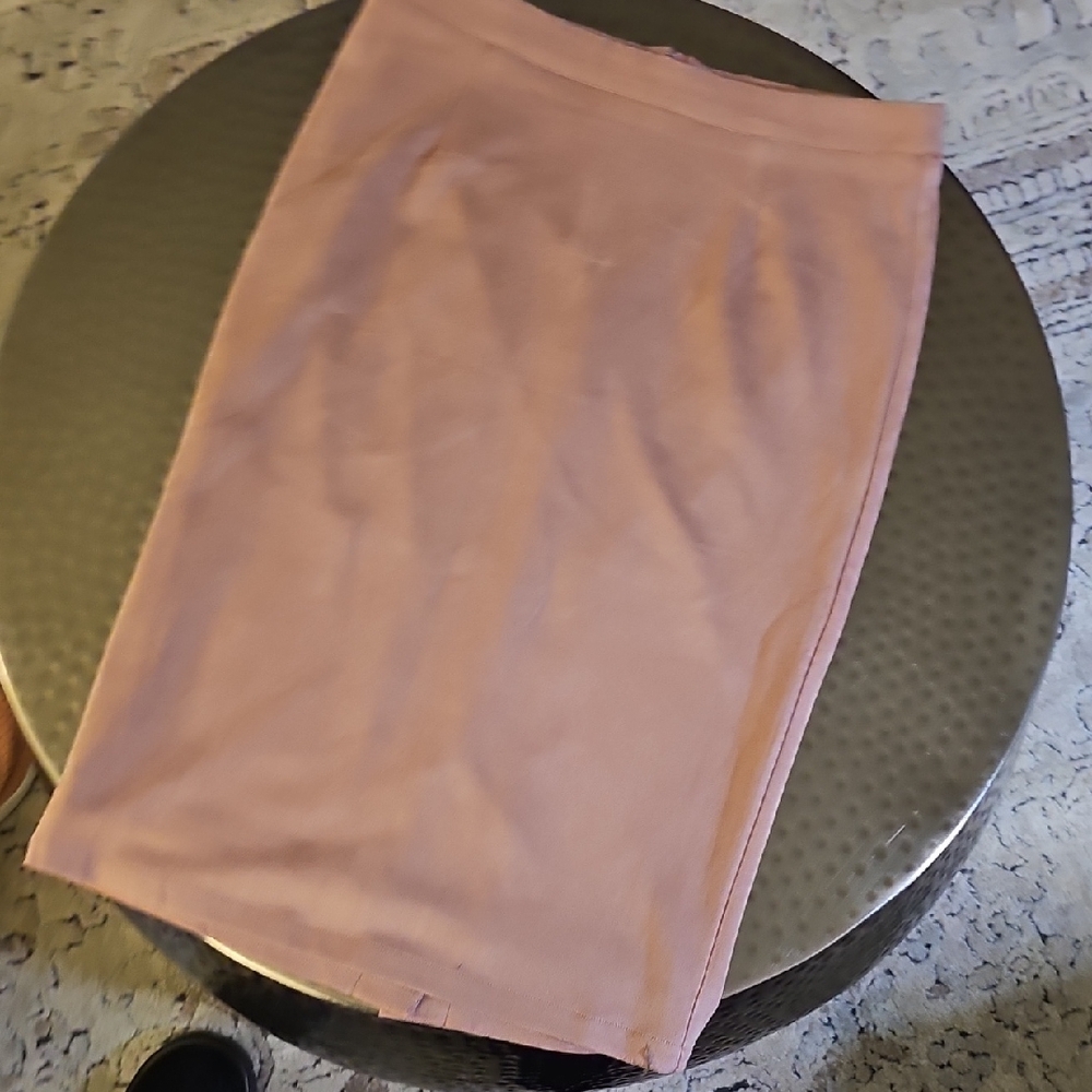 Elegant Pink Women's Skirt
